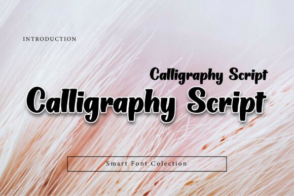 Download Calligraphy Script - Calligraphy script Collection