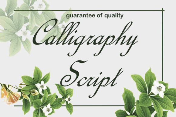 Download Calligraphy Script - Calligraphy script Collection